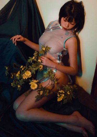 憧憬成为魔法少女全集免费
