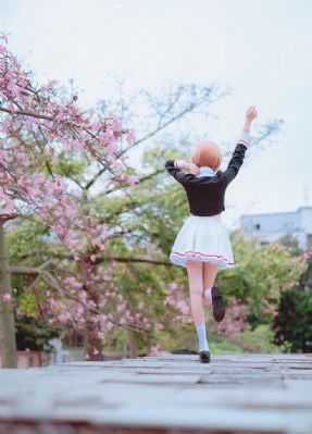 杏林春暖在线看